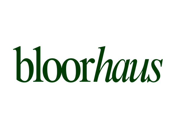 bloorhaus